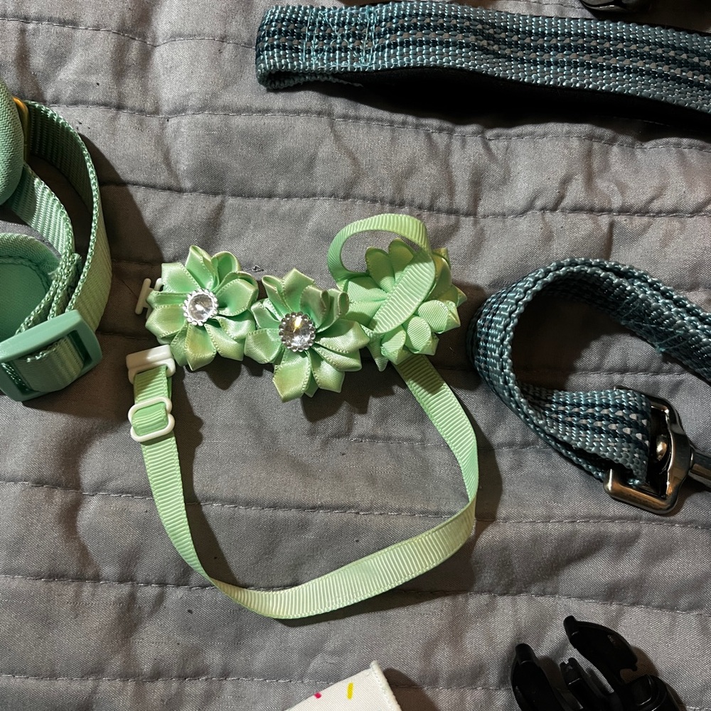Dog Accessory bundle - Medium Size - Picture 6 of 9